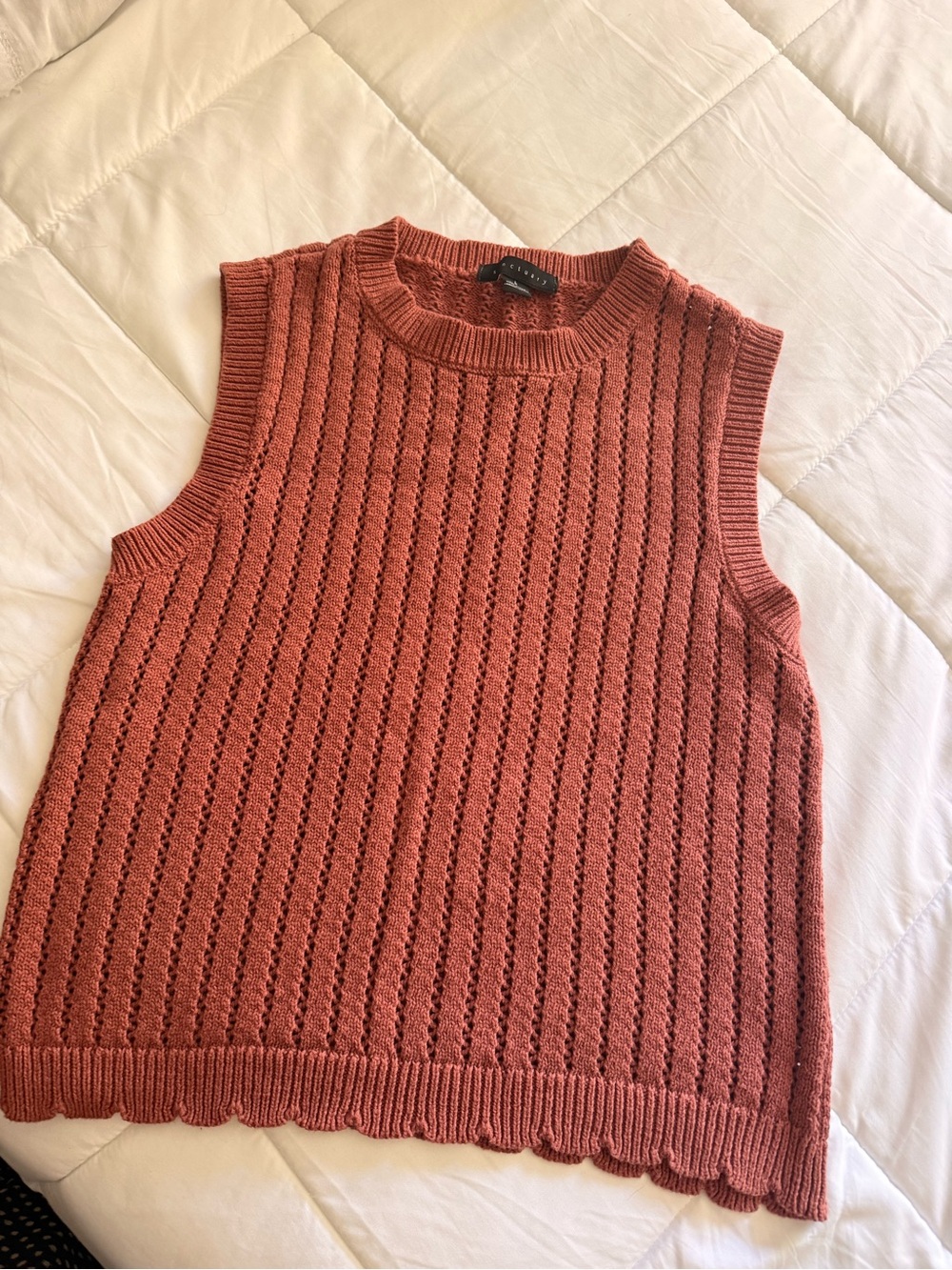 Sanctuary Rust Pointelle Scalloped Neck Knit Top - Picture 2 of 6